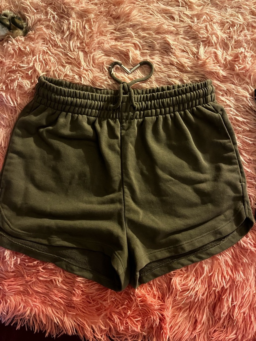 H&M Browns Women's Athletic Sweat Shorts